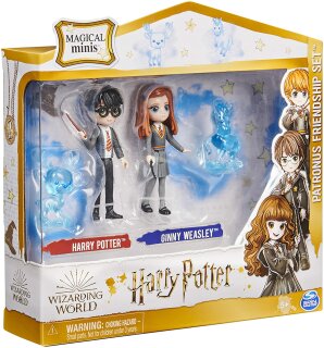 Wizarding World Harry Potter und Ginny Weasly