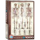 Das Skelett 1000 Teile Puzzle
