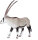 Animal Planet Oryx-Antilope